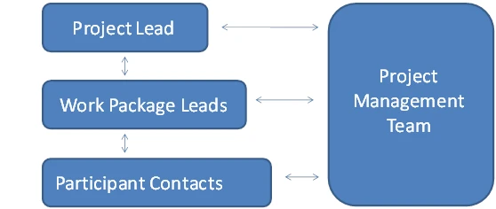 EpiMigrant Project Management Structure